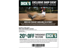 20% at Dick’s Sporting goods